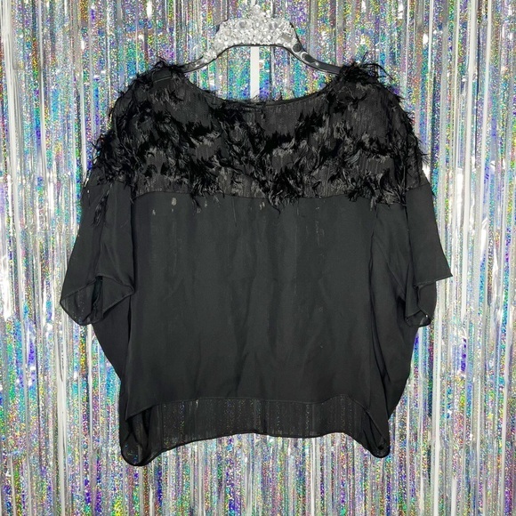 Sally Lapointe Black Sheer Feather Blouse - Picture 1 of 5